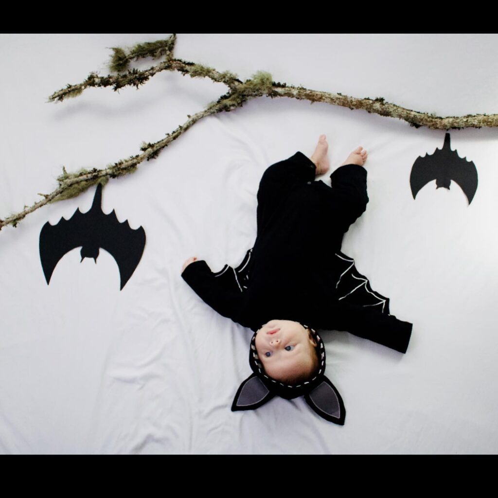 Bebê morcego: o especialista em virar a vida da mamãe de cabeça para baixo! 🦇👶